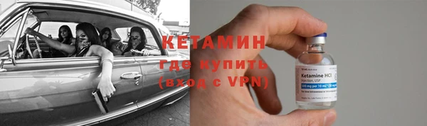 гашик Няндома