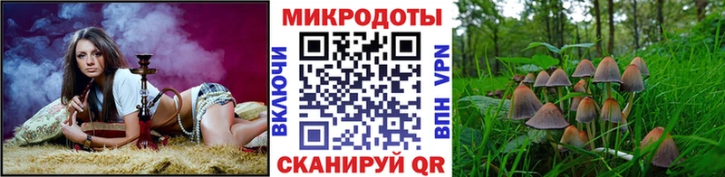 Галлюциногенные грибы Cubensis  где продают   Минусинск 